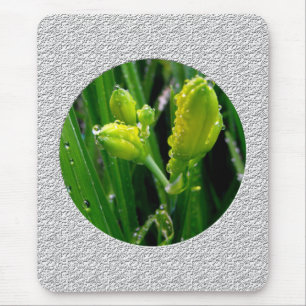 Tapis De Souris bourgeons verts printaniers