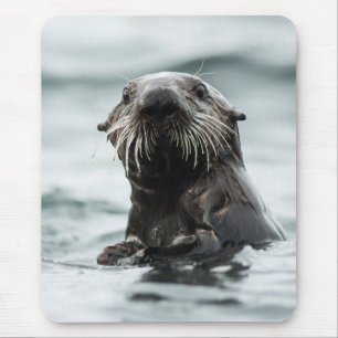 Tapis De Souris Bouton