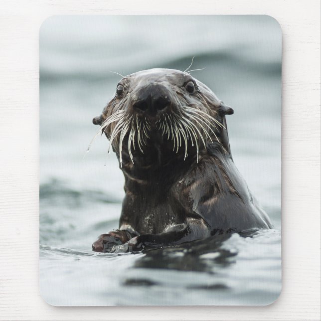 Tapis De Souris Bouton (Devant)
