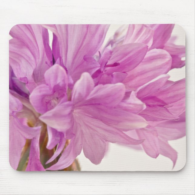 Tapis De Souris Bouton de mise à jour (Devant)