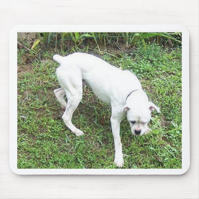 Tapis De Souris Boxer chiot blanc complet (Devant)