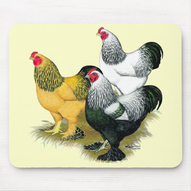 Tapis De Souris Brahmas Three Roosters (Devant)