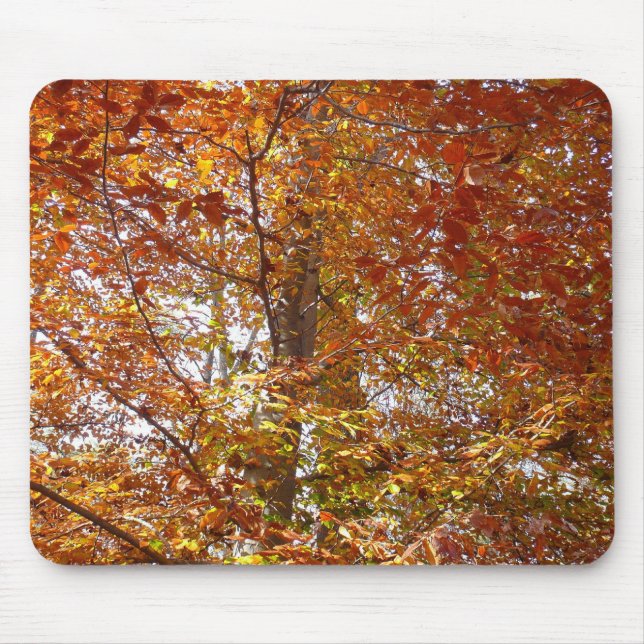 Tapis De Souris Branches de feuilles orange Nature automnale (Devant)