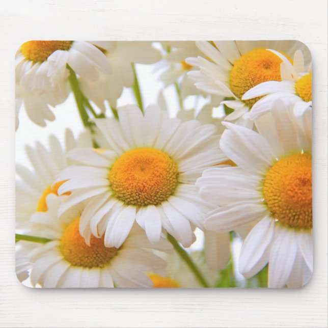 Tapis De Souris Bright Summer Daisies Fleurs Photo (Devant)