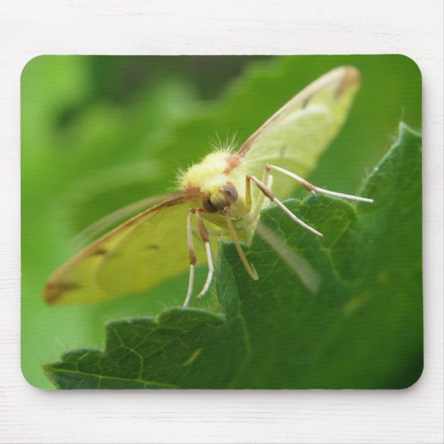 Tapis De Souris Brimstone Moth Mousepad (Devant)