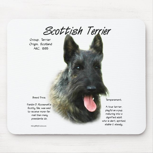 Tapis De Souris Brindle Scottish Terrier History (Devant)