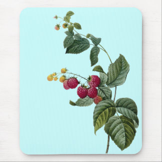 Tapis De Souris Brins de fruit