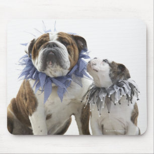 Tapis De Souris Britanniques bulldog et chiot portant un collier e