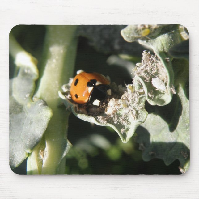 Tapis De Souris British 7 Spot Ladybug Mousepad (Devant)