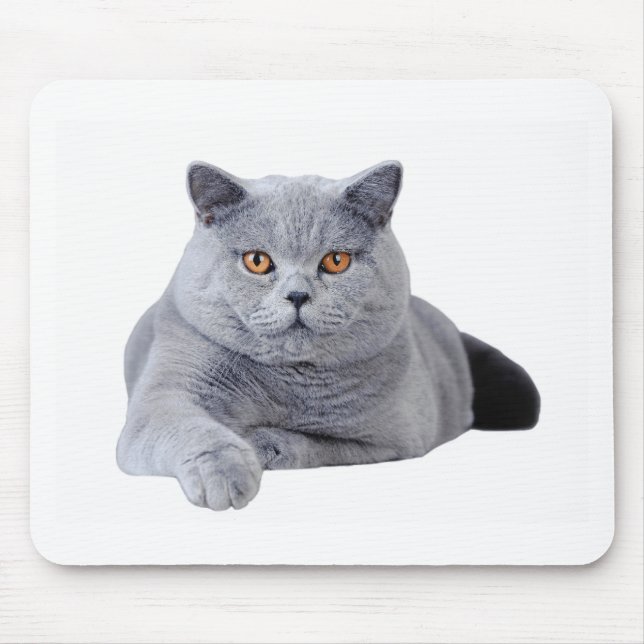 Tapis De Souris British shorthair (Devant)