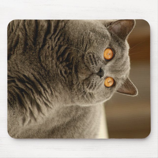 Tapis De Souris british shorthair bleu (Devant)