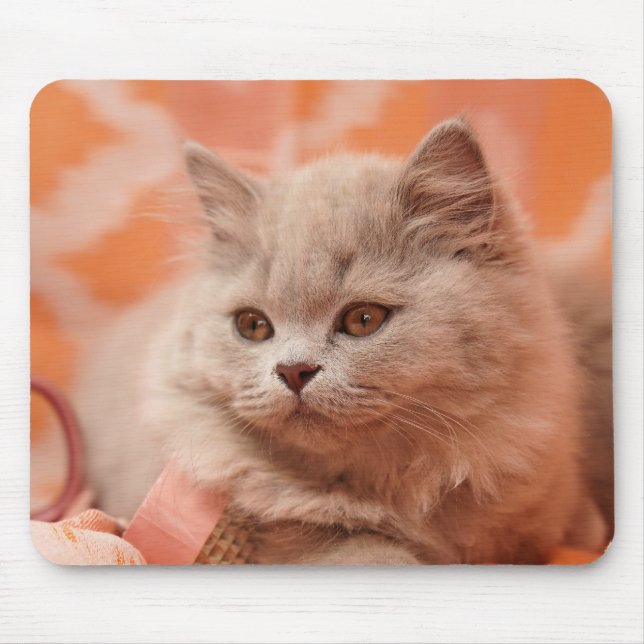 Tapis De Souris British shorthair, British longhair, Lilac (Devant)