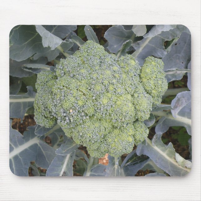 Tapis De Souris Broccoli Mousepad (Devant)
