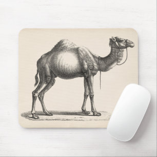 Tapis De Souris Brodtmann Dromedary Camel croquis