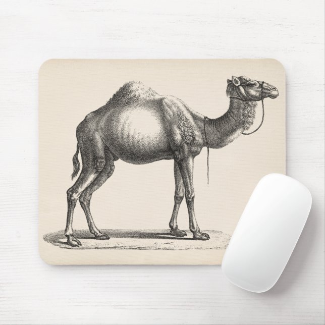 Tapis De Souris Brodtmann Dromedary Camel croquis (Avec souris)
