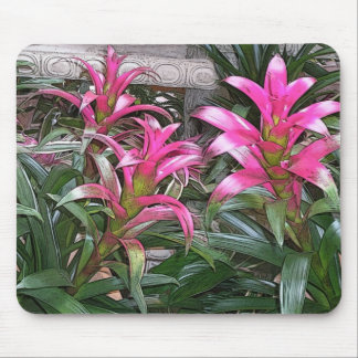 Tapis De Souris Bromeliad Mouspad