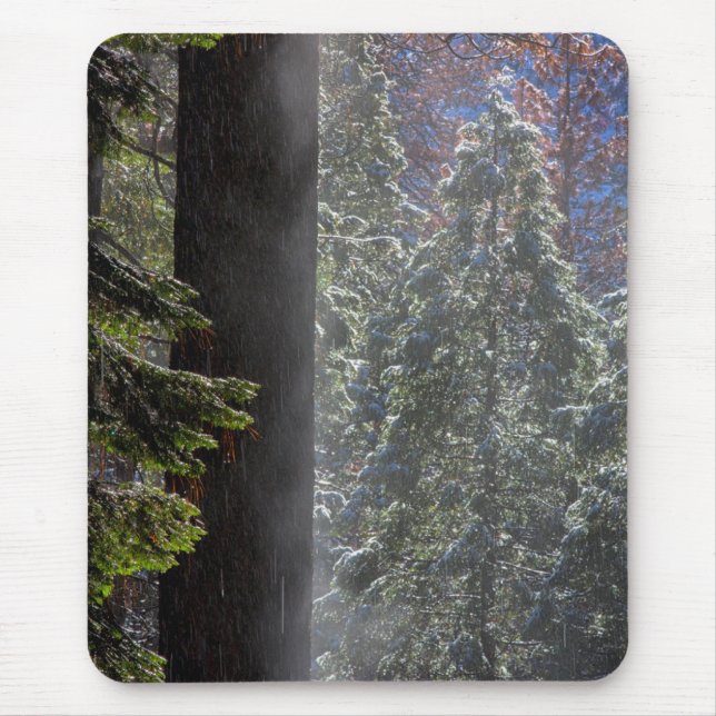 Tapis De Souris Brouillard neigeux dans la forêt (Devant)