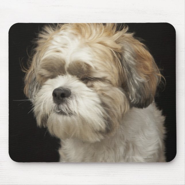 Tapis De Souris Brown and White Shih Tzu with eyes closed (Devant)