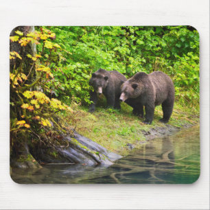 Tapis De Souris Brown Bear & Cub   Hyder, Alaska