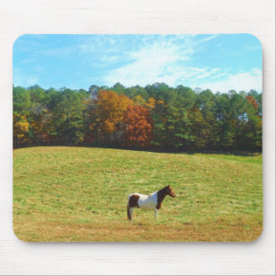 Tapis De Souris Brown & cheval blanc, arbres d'automne, ciel bleu