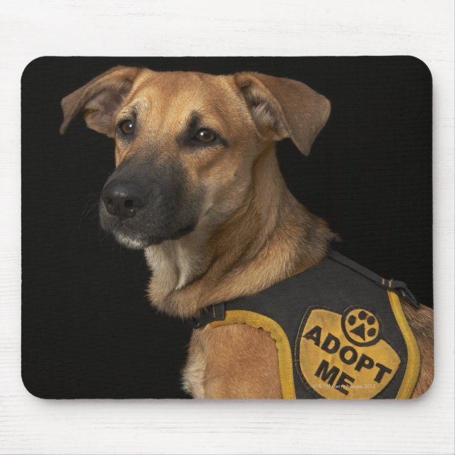 Tapis De Souris Brown rescue dog with adopt vest (Devant)