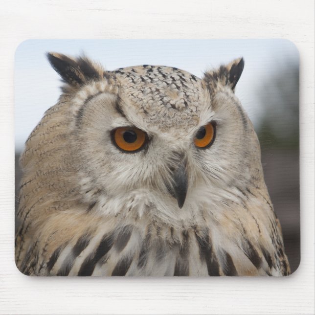 Tapis De Souris Bubo bubo sibiricus (Devant)