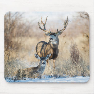 Tapis De Souris Buck Couple Cerf mulet