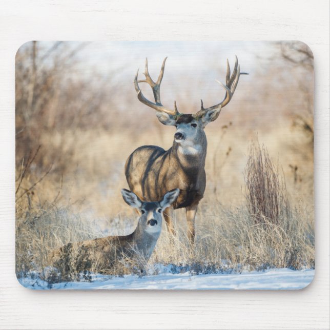 Tapis De Souris Buck Couple | Cerf mulet (Devant)