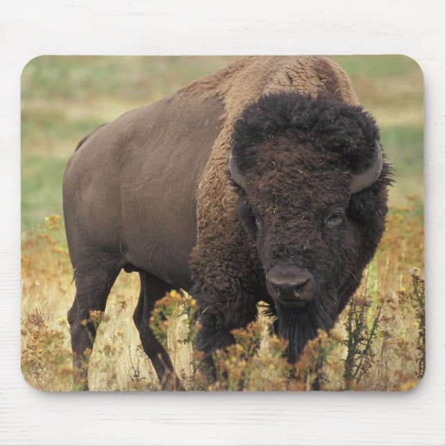 Tapis De Souris Buffalo (Devant)