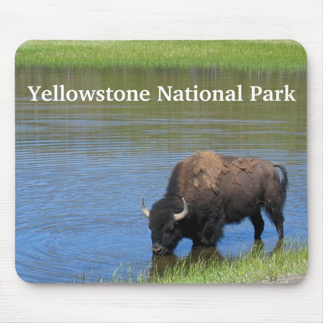 Tapis De Souris Buffle de Yellowstone dans l'étang (Devant)