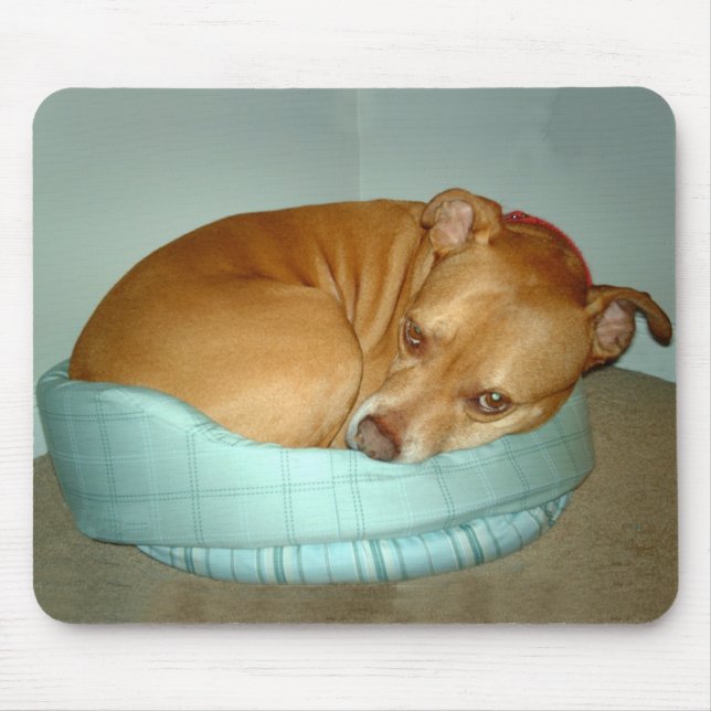 Tapis De Souris Bugsy (Devant)