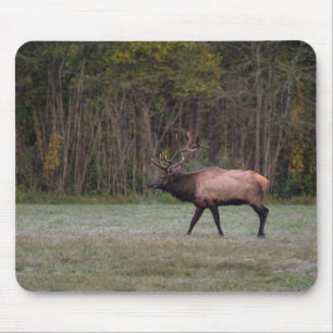 Tapis De Souris Bull Elk Morning Walk