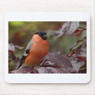 Tapis De Souris Bull Finch