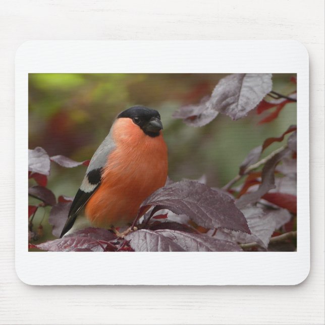 Tapis De Souris Bull Finch (Devant)
