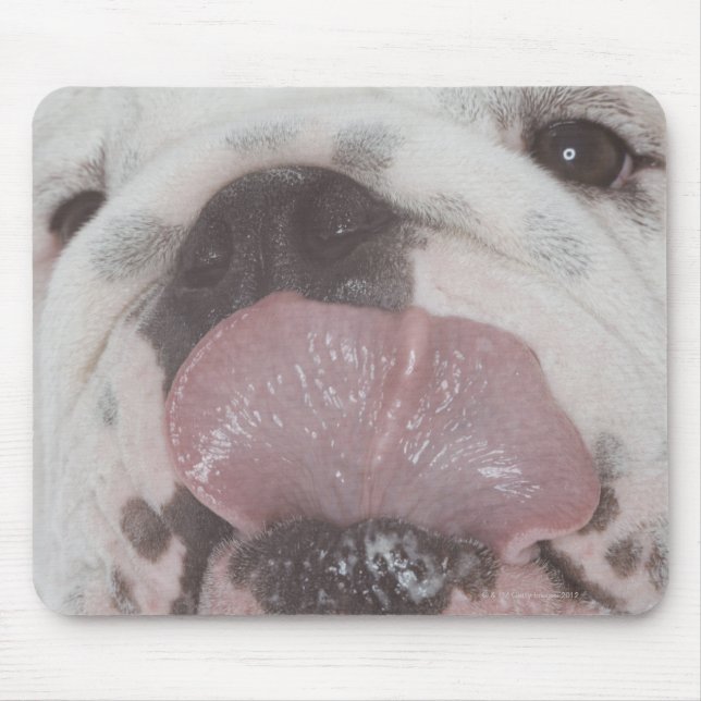 Tapis De Souris Bulldog 2 (Devant)