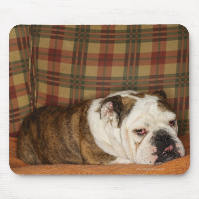 Tapis De Souris bulldog allongé sur un canapé (Devant)