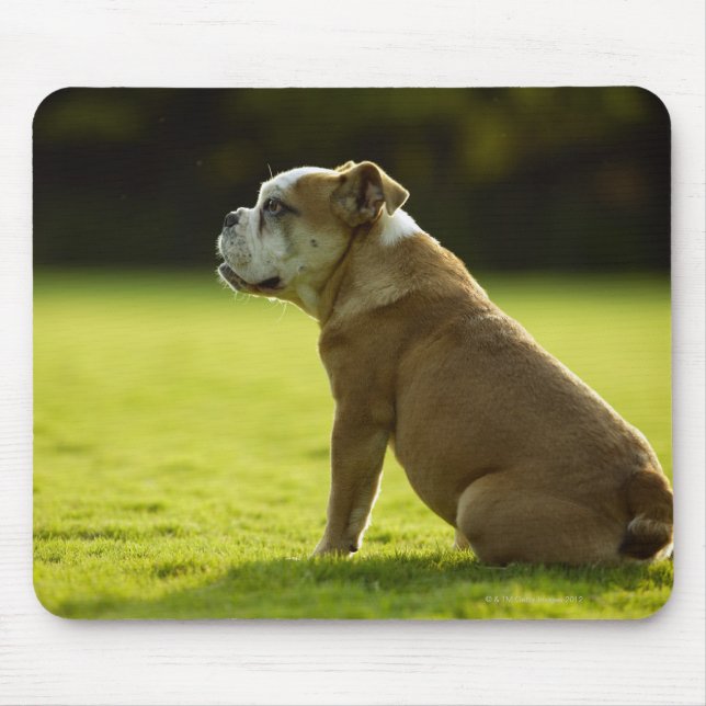 Tapis De Souris Bulldog dans le champ (Devant)