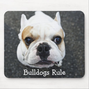 Tapis de souris Bulldogs Rule