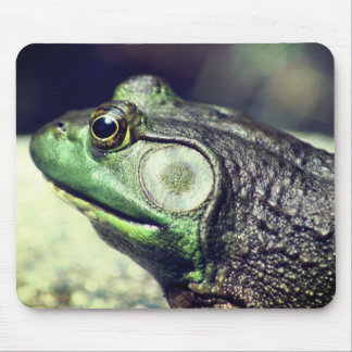 Tapis De Souris Bullfrog pensées Nature