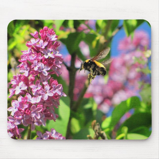 Tapis De Souris Bumble Bee Landing sur Lilacs (Devant)