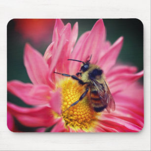 Tapis De Souris Bumble Bee On Rose Daisy Flower