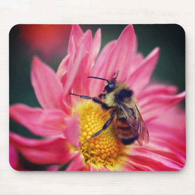 Tapis De Souris Bumble Bee On Rose Daisy Flower (Devant)