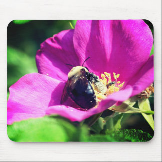 Tapis De Souris Bumble Bee Sur Fleur Rose