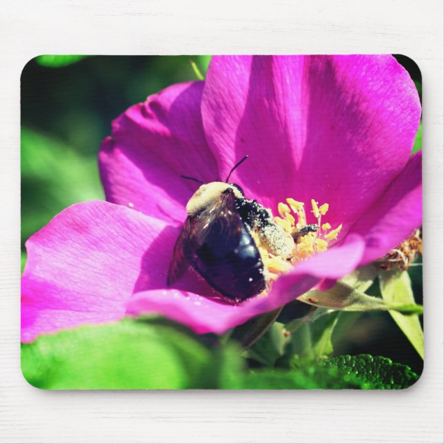 Tapis De Souris Bumble Bee Sur Fleur Rose (Devant)