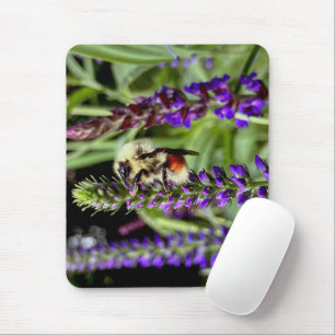 Tapis De Souris Bumblebebe central avec Plante Speedwell Flower