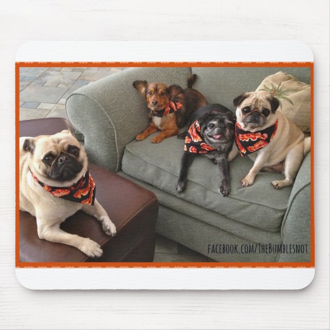 Tapis De Souris Bumblesnot Mousepad : Le Bacon Bunch (Devant)