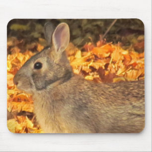 Tapis De Souris Bunny d'automne