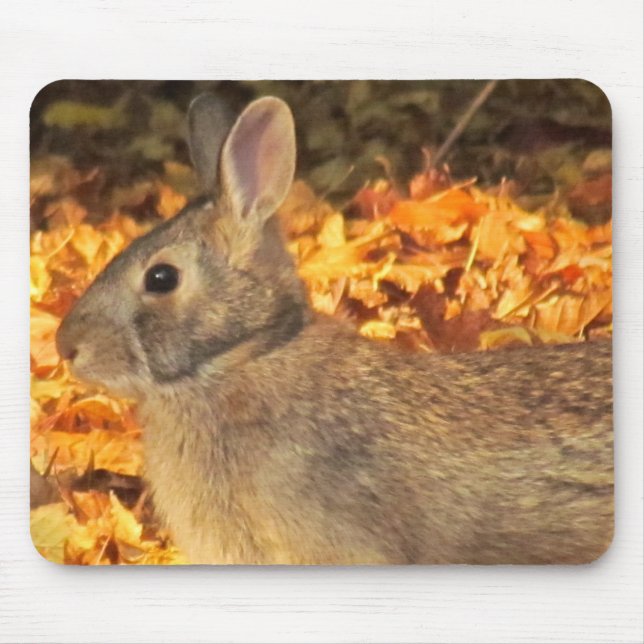 Tapis De Souris Bunny d'automne (Devant)