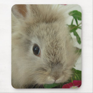 Tapis De Souris Bunny Lionhead