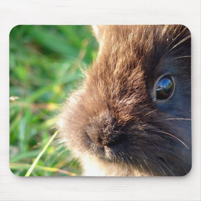 Tapis De Souris Bunny Lionhead (Devant)